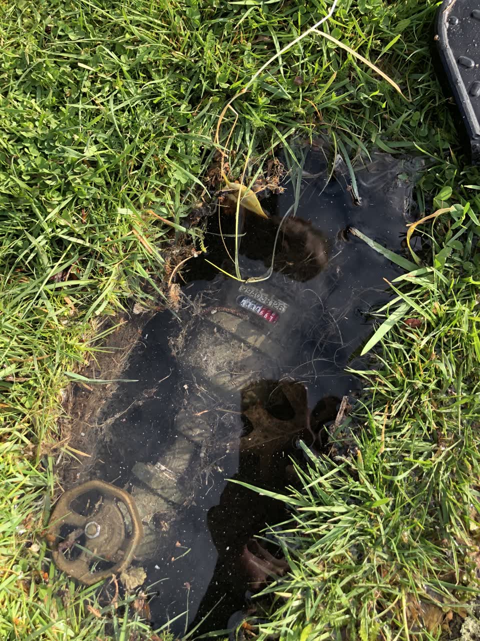 The photograph attached to this water leak report