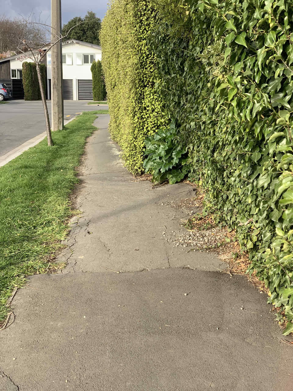 The photograph attached to this roading/streets report