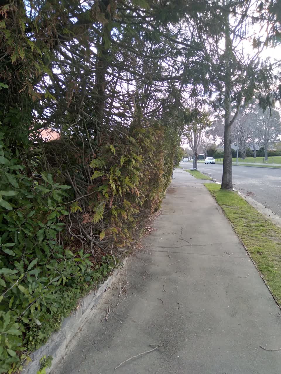 The photograph attached to this roading/streets report