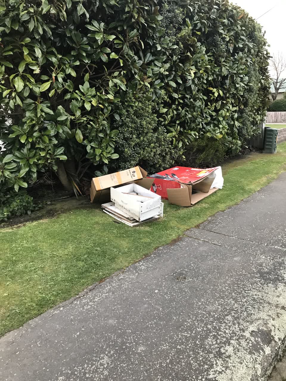 The photograph attached to this roading/streets report