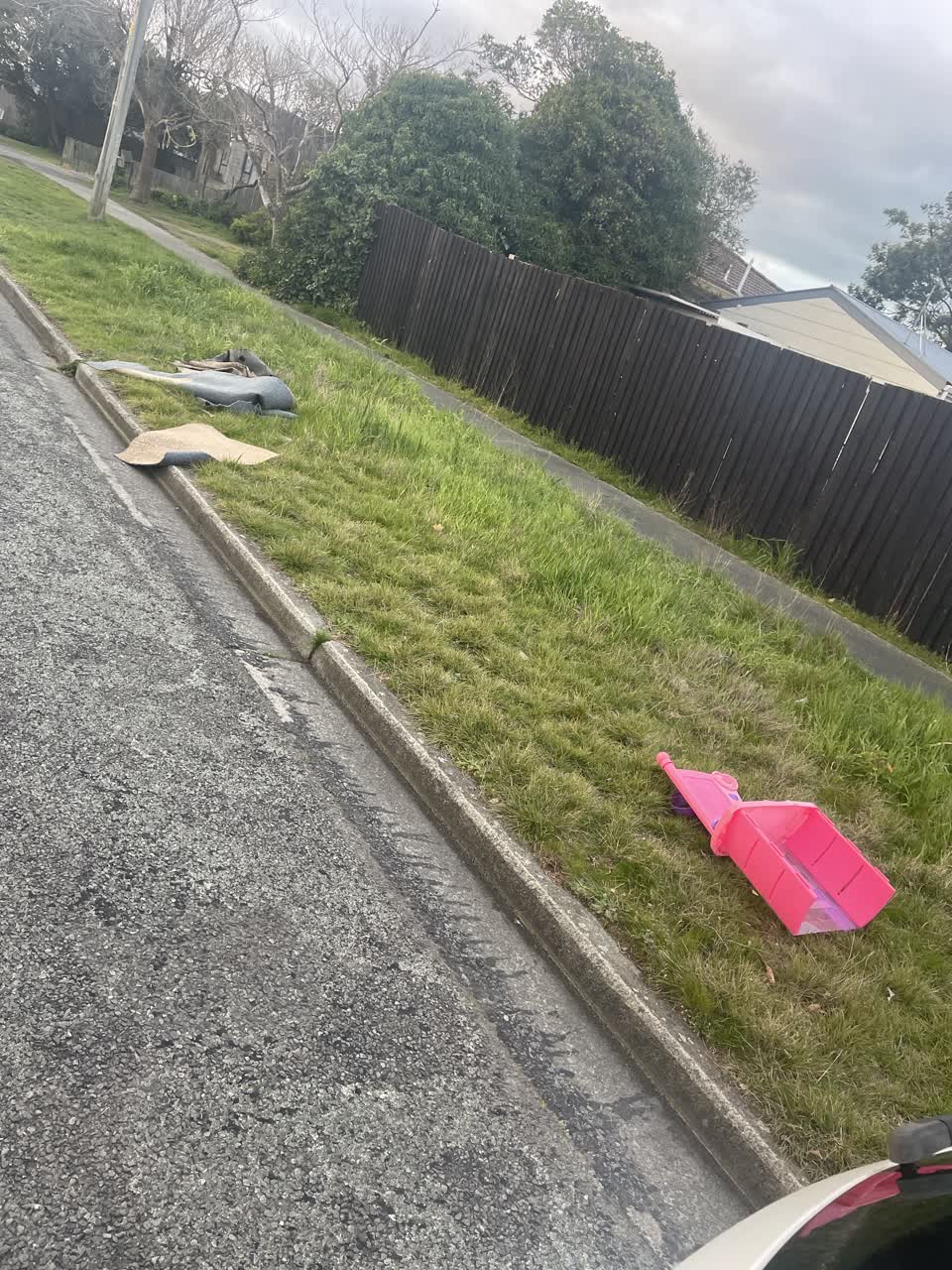 The photograph attached to this rubbish/recycling report