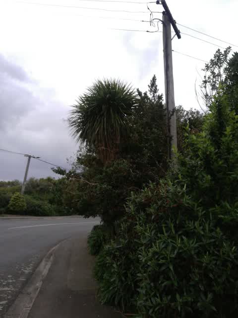 Roading/Streets, a report photo