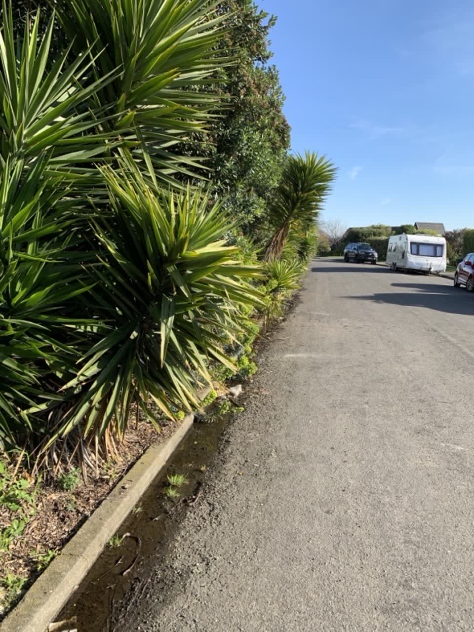 The photograph attached to this parks report