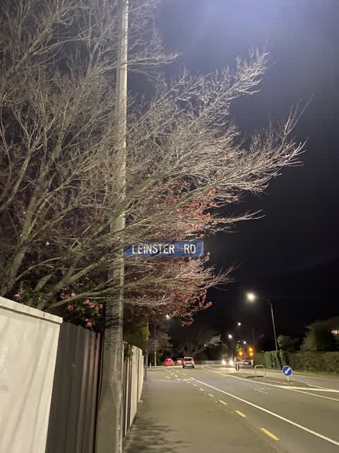 Roading/Streets, a report photo
