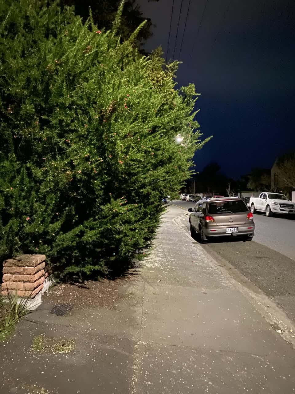 The photograph attached to this roading/streets report