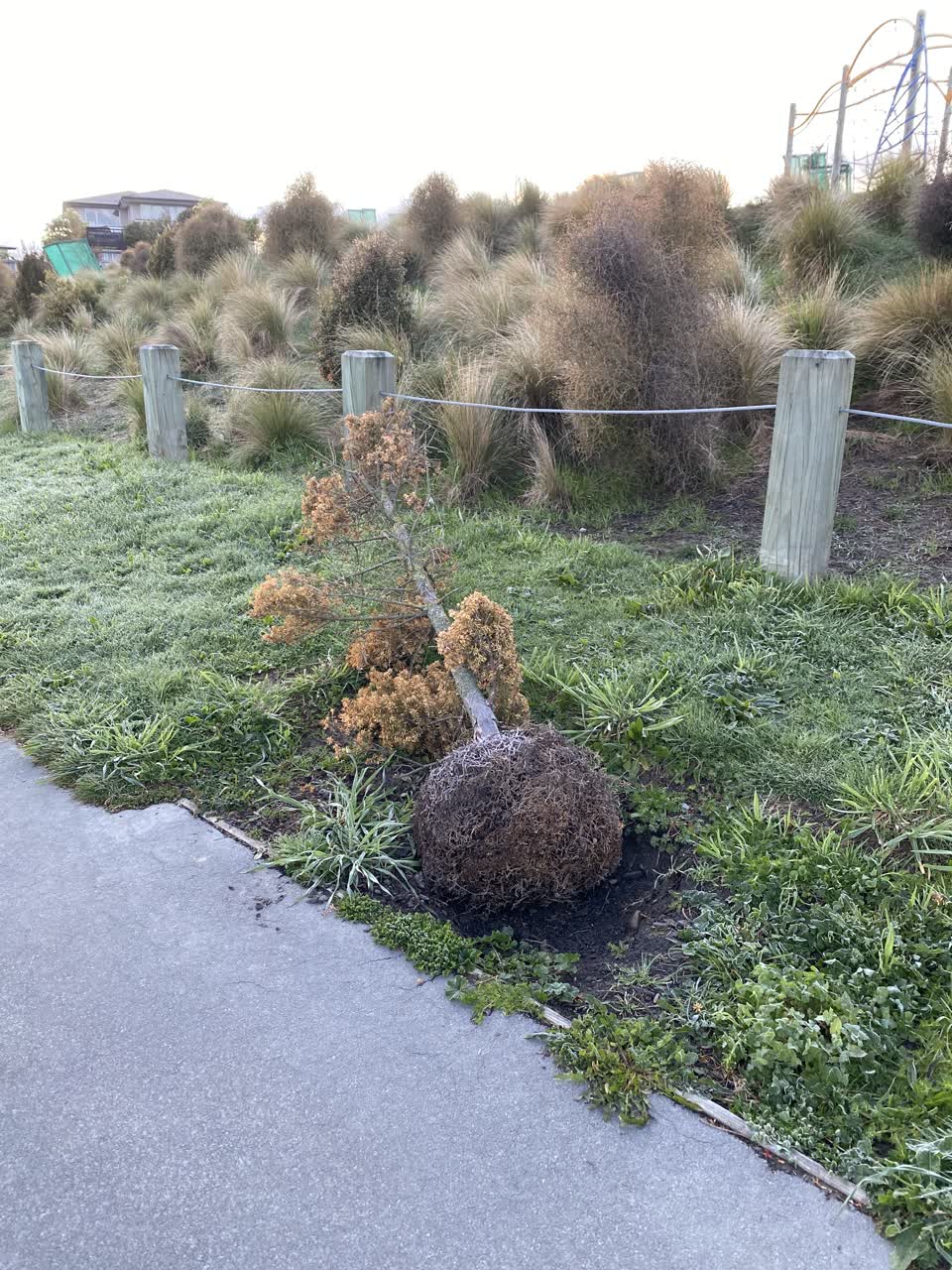 The photograph attached to this parks report