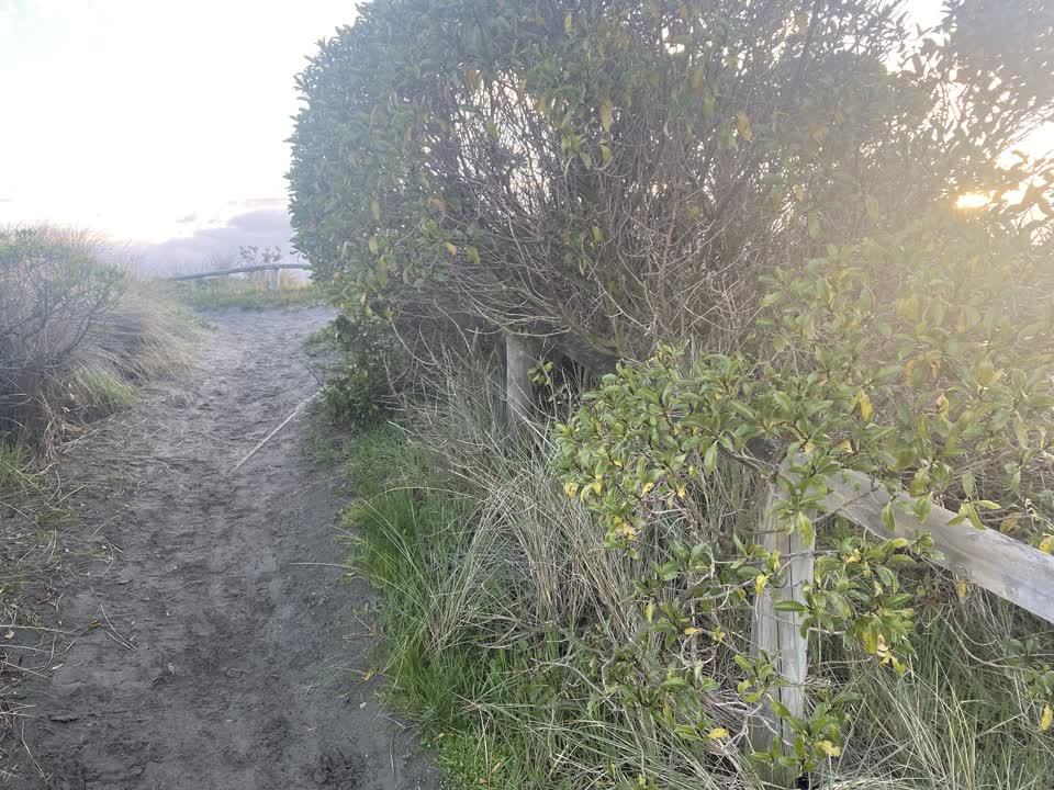 The photograph attached to this parks report
