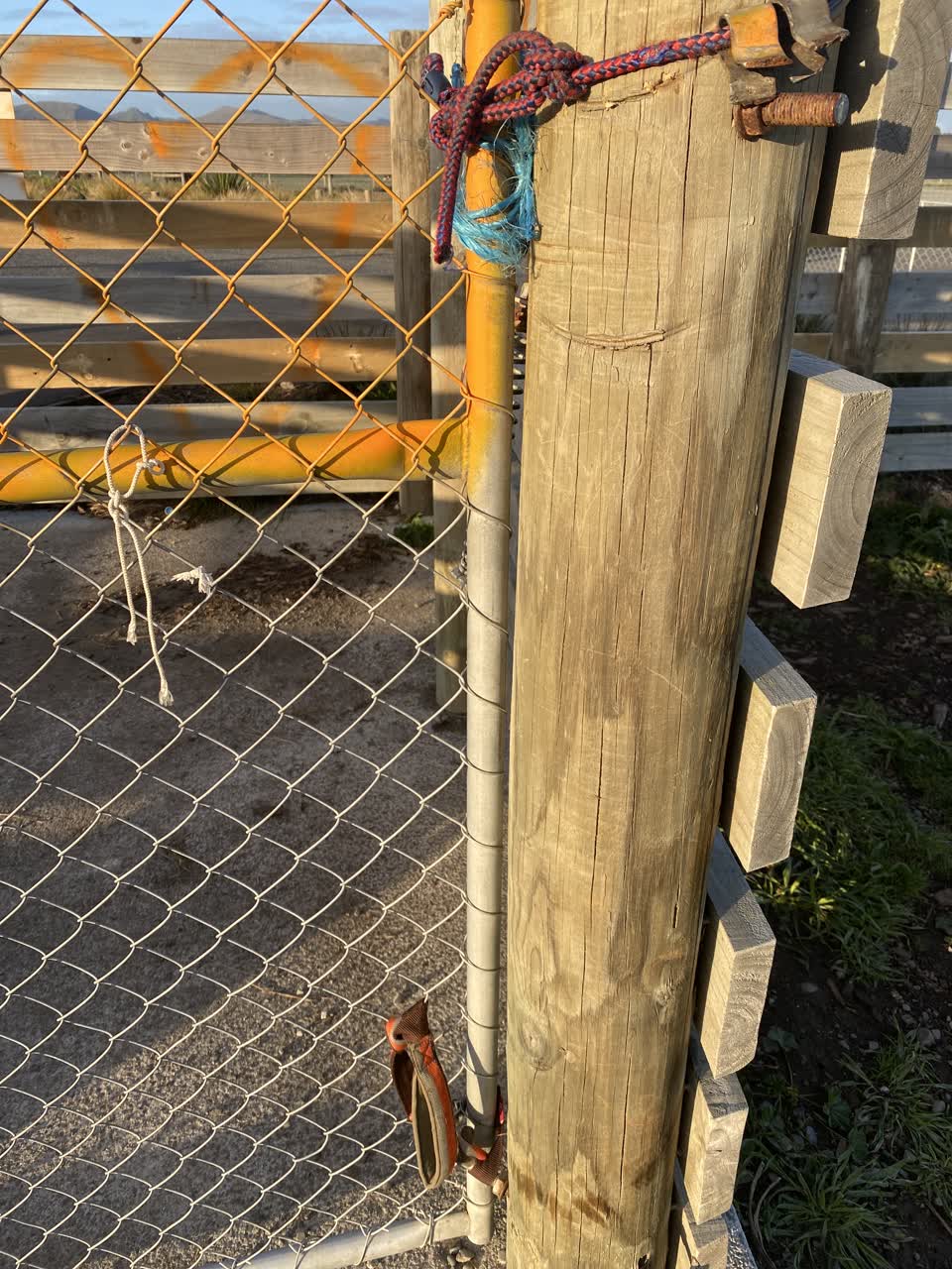 The photograph attached to this parks report