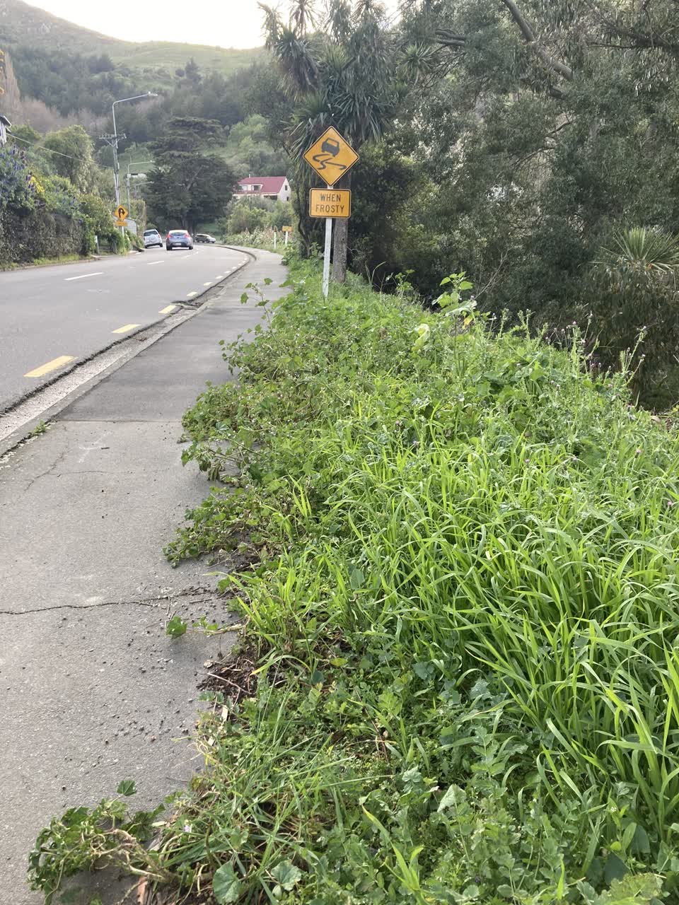 The photograph attached to this roading/streets report