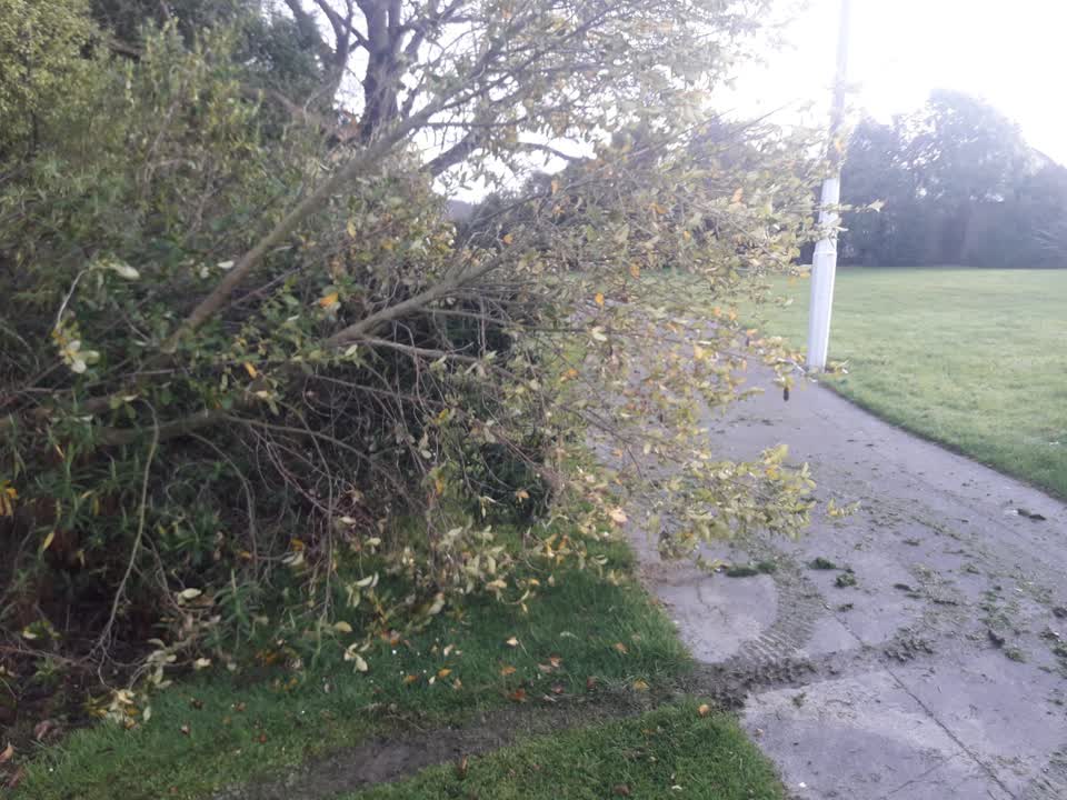 The photograph attached to this parks report