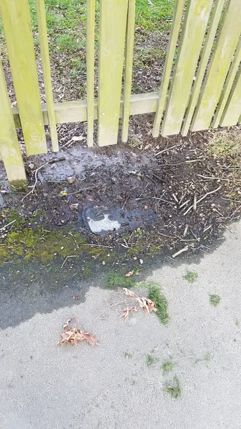 Water Leak, a report photo