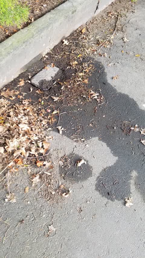 Water Leak, a report photo