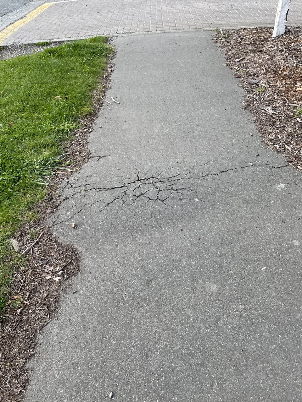 The photograph attached to this roading/streets report