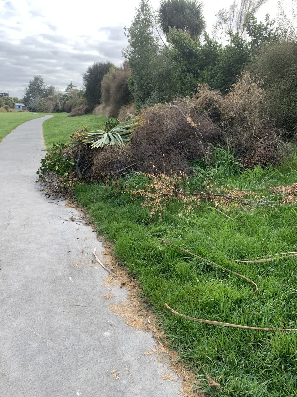 The photograph attached to this parks report