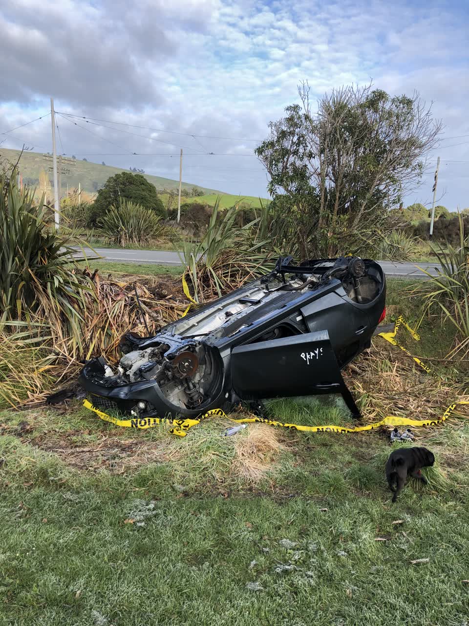 The photograph attached to this parks report