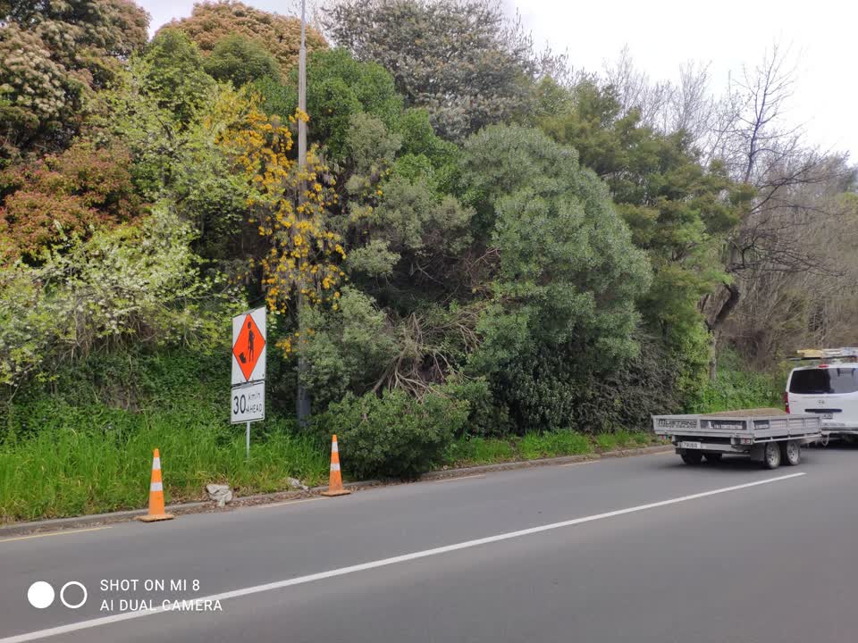 The photograph attached to this roading/streets report
