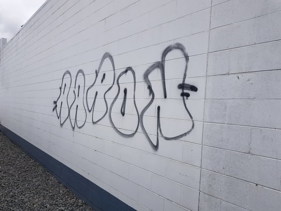 The photograph attached to this graffiti report