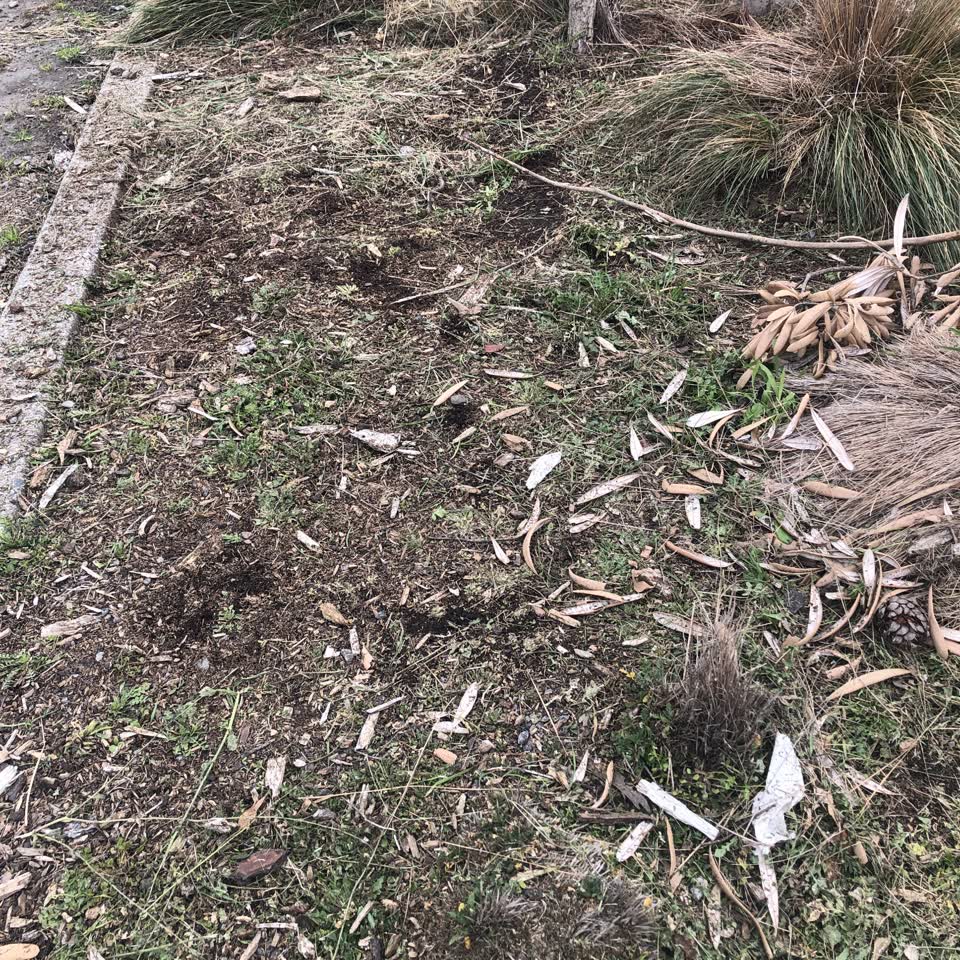 The photograph attached to this parks report