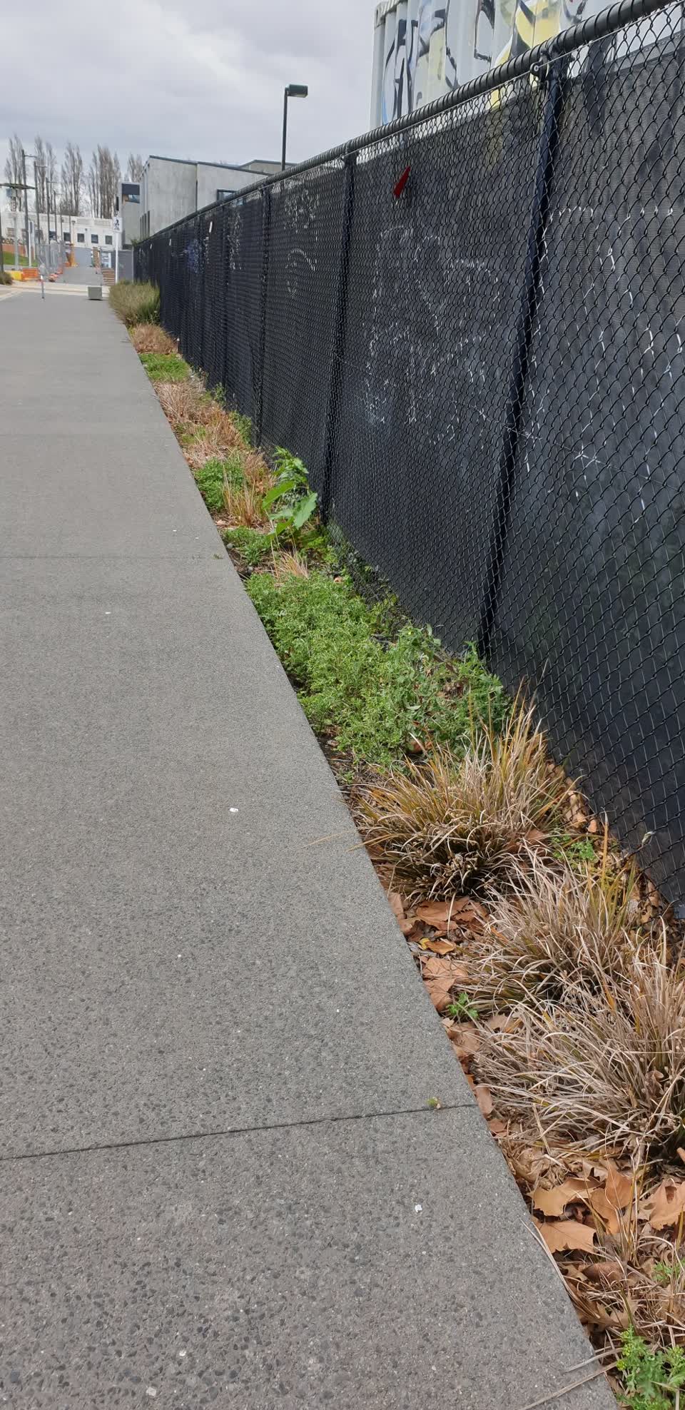 The photograph attached to this parks report