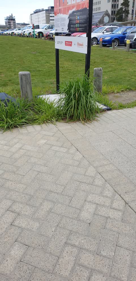 Parks, a report photo