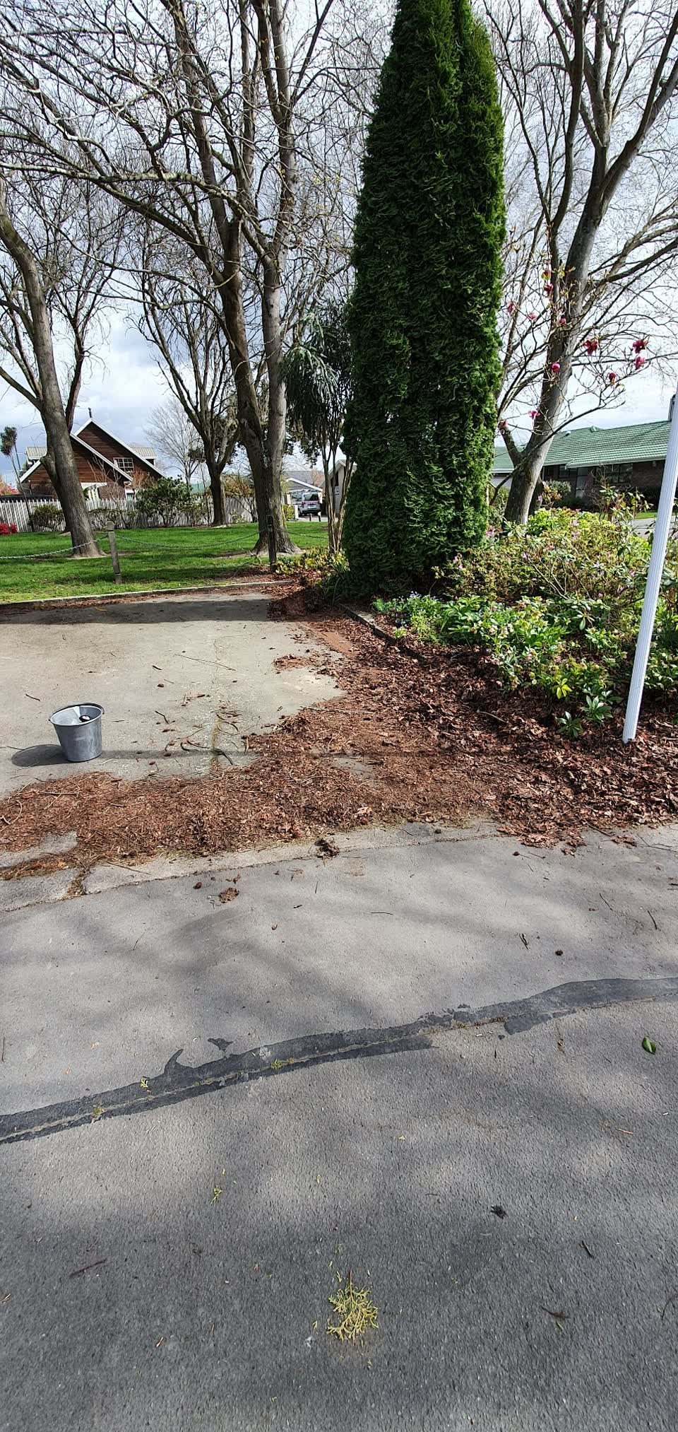 The photograph attached to this parks report