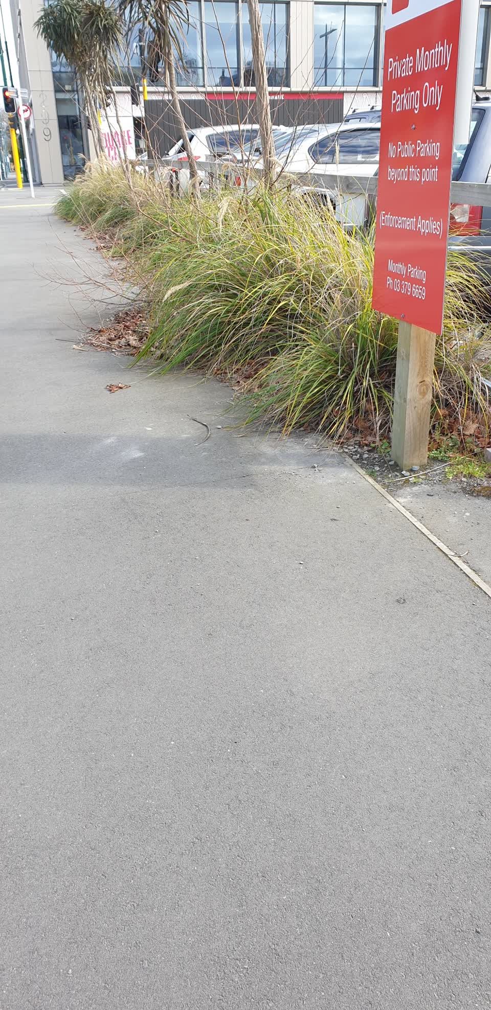 The photograph attached to this parks report