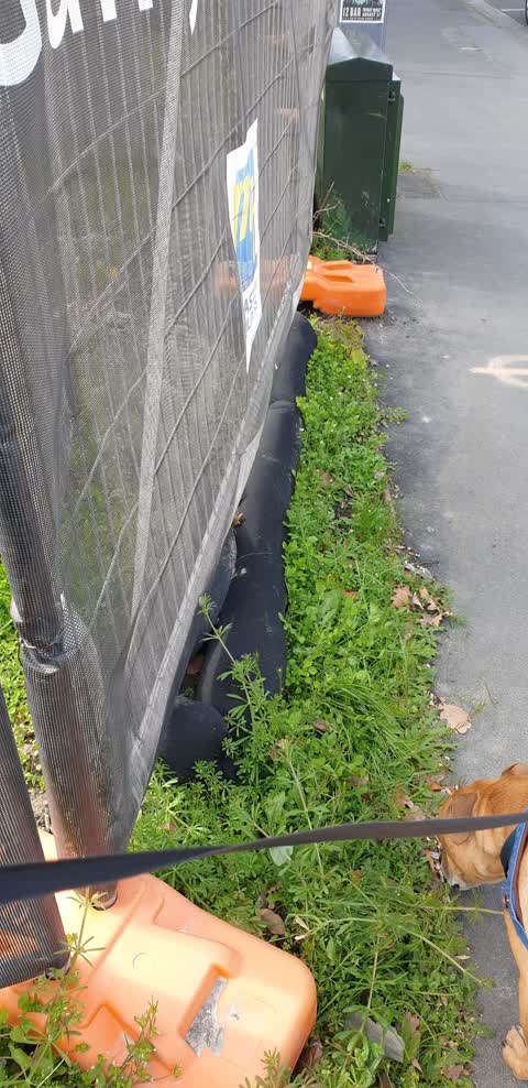 Roading/Streets, a report photo