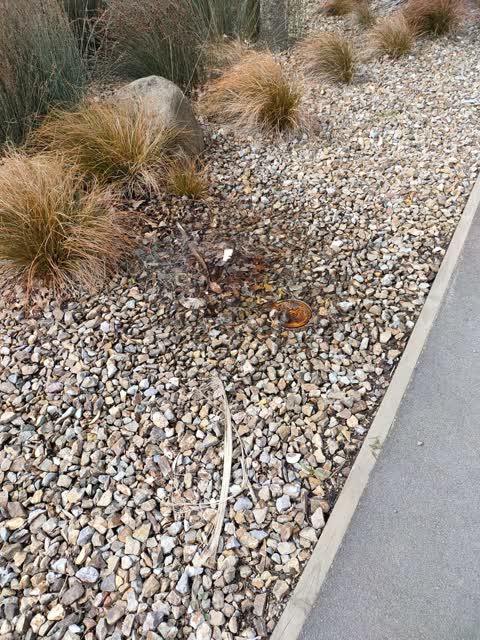 Water Leak, a report photo