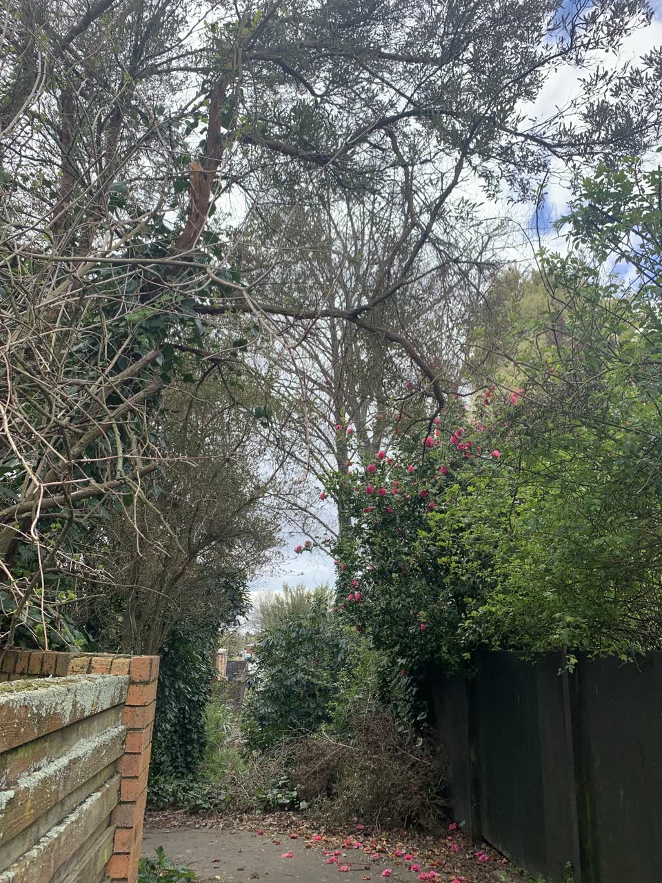 The photograph attached to this parks report