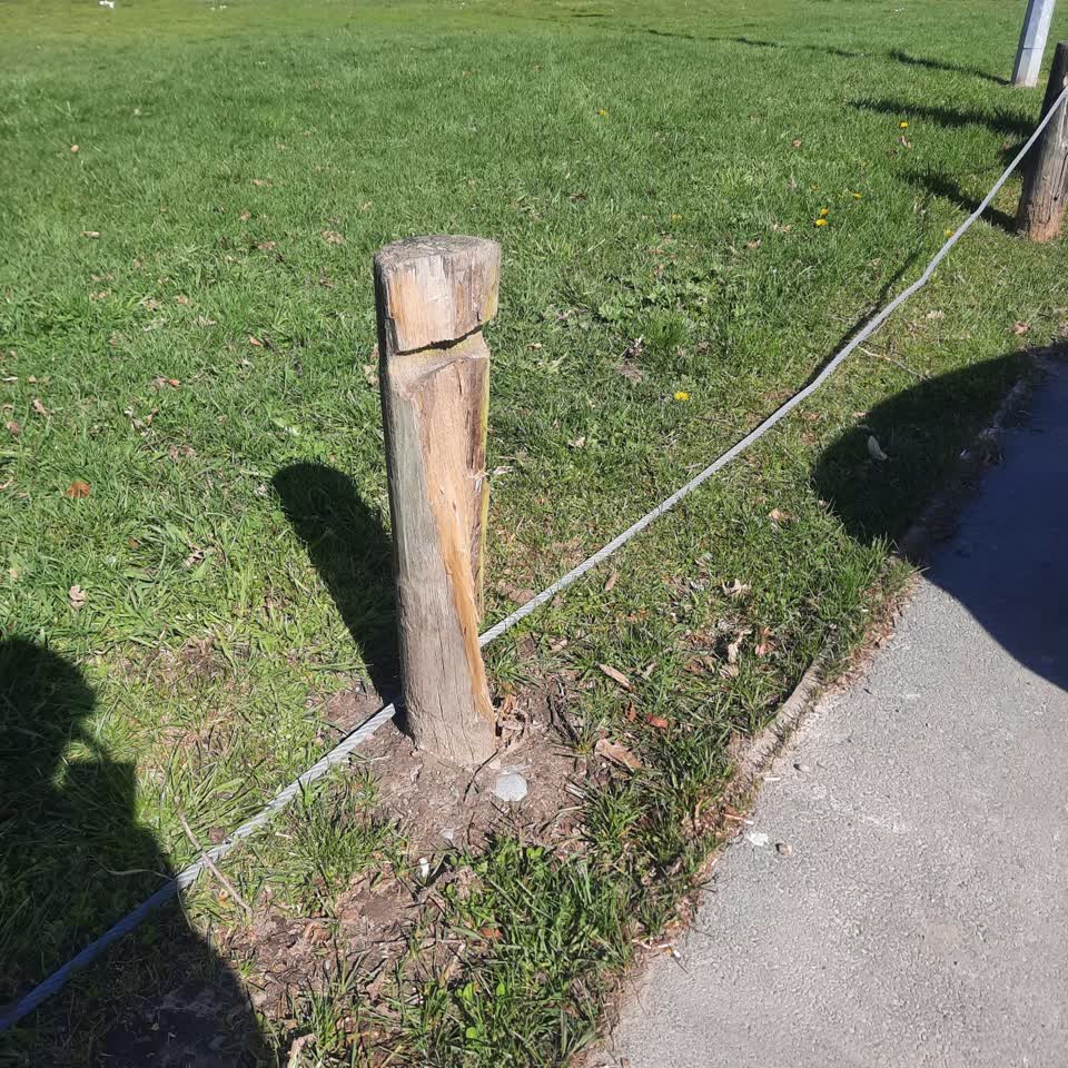 The photograph attached to this parks report