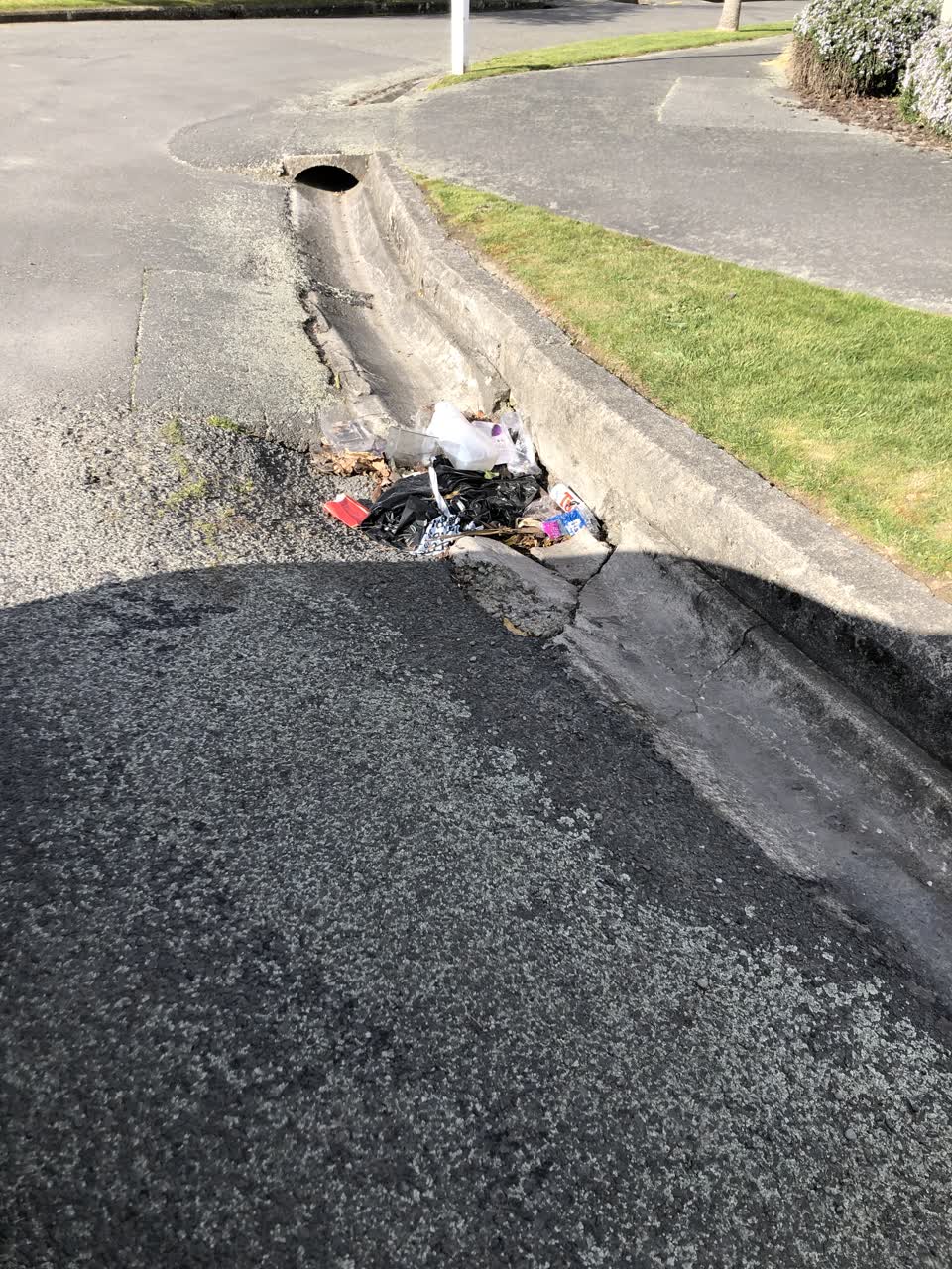 The photograph attached to this rubbish/recycling report