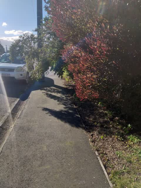 Roading/Streets, a report photo