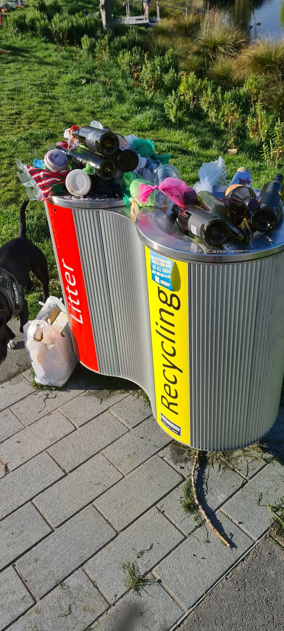 The photograph attached to this rubbish/recycling report