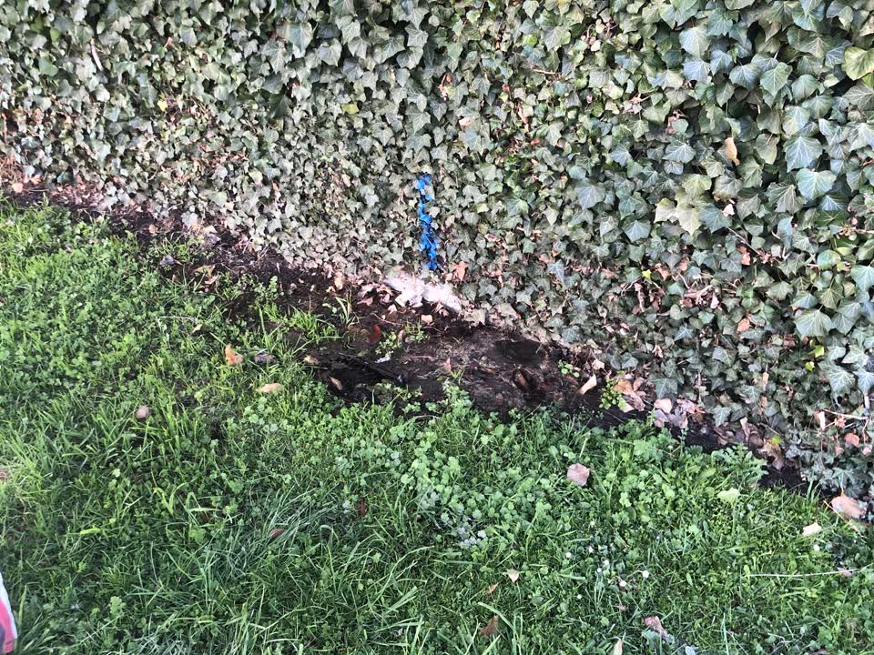 The photograph attached to this water supply report