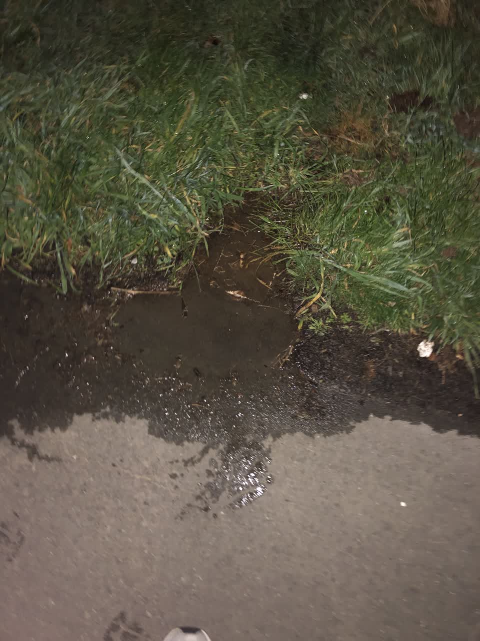 The photograph attached to this water leak report