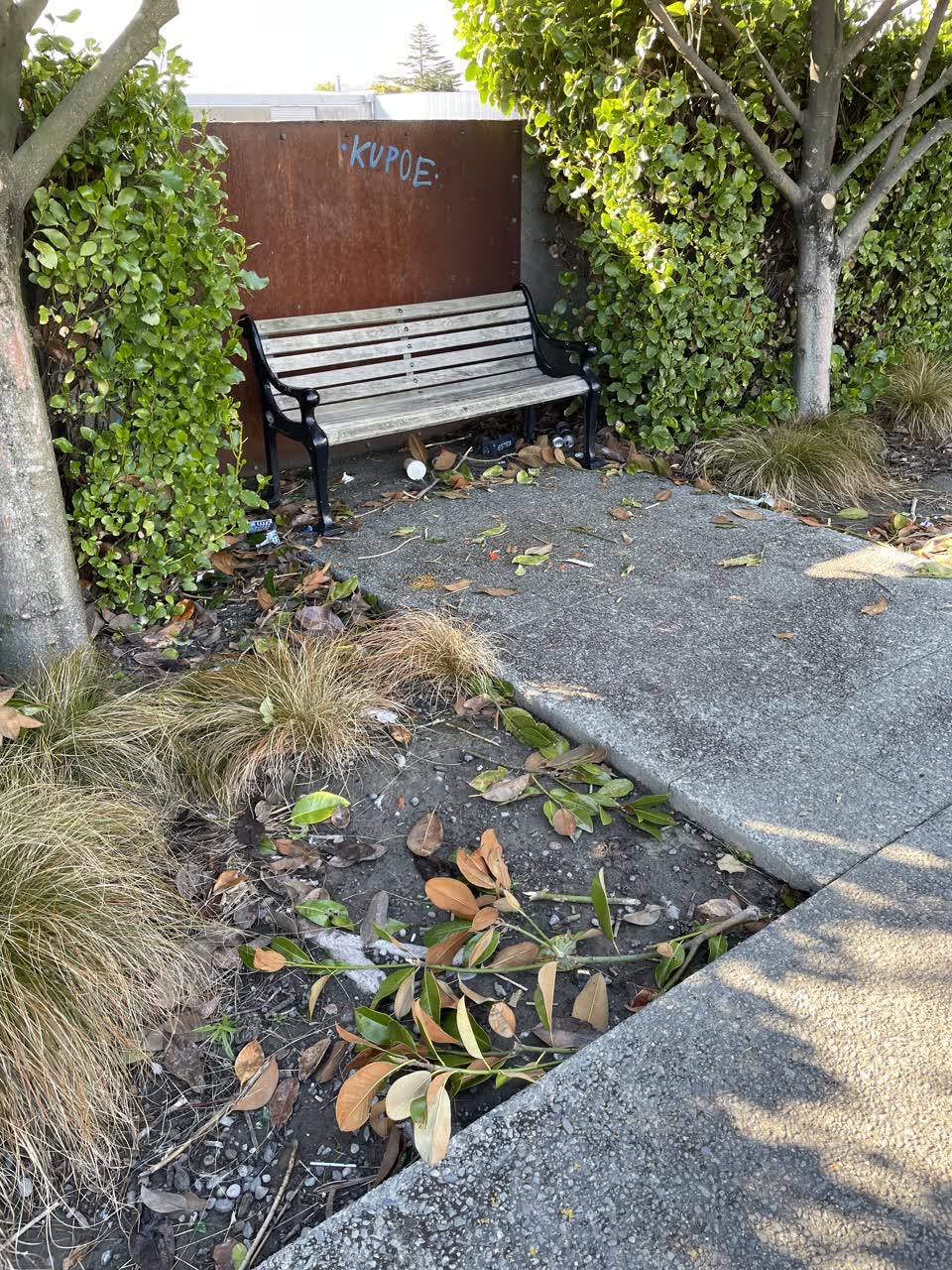 The photograph attached to this parks report