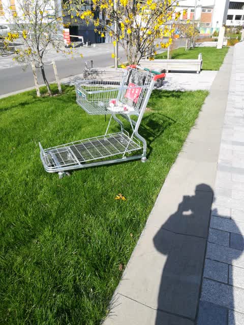 Roading/Streets, a report photo