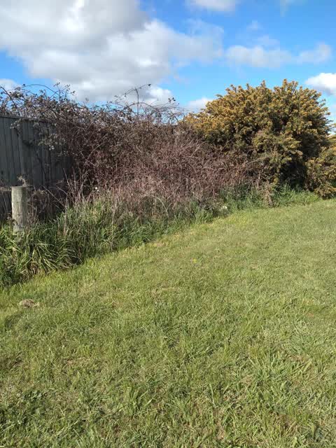 Rubbish/Recycling, a report photo