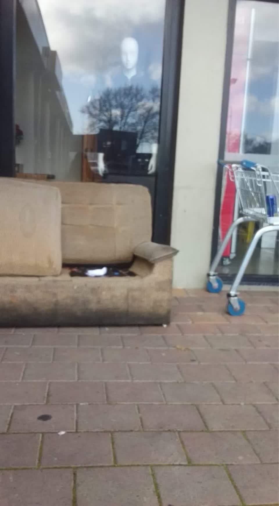 The photograph attached to this rubbish/recycling report