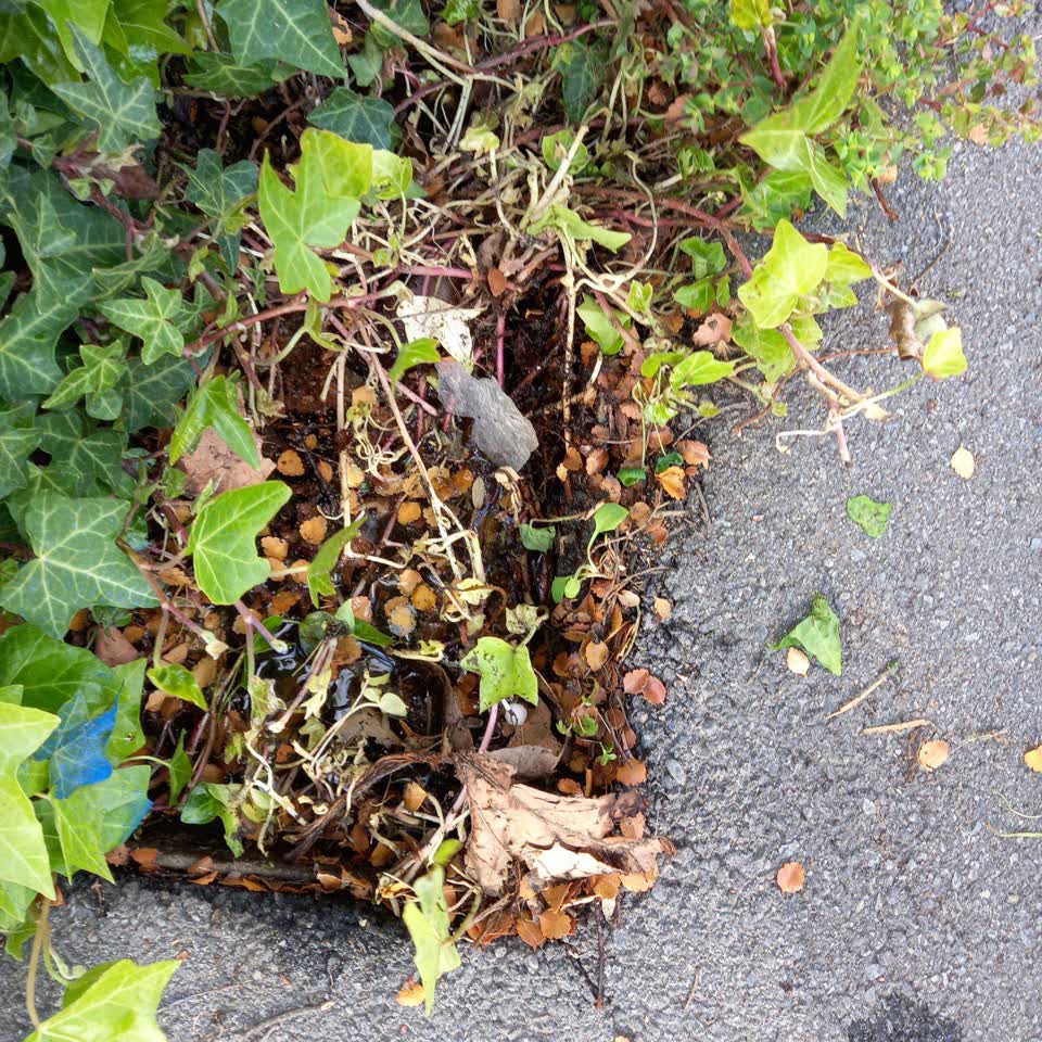 The photograph attached to this water leak report