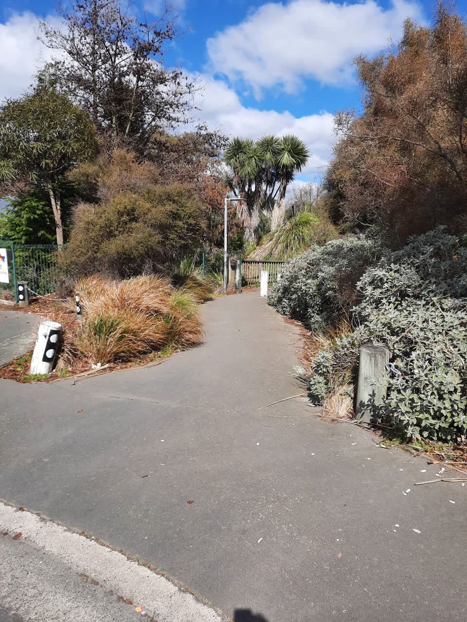 The photograph attached to this parks report
