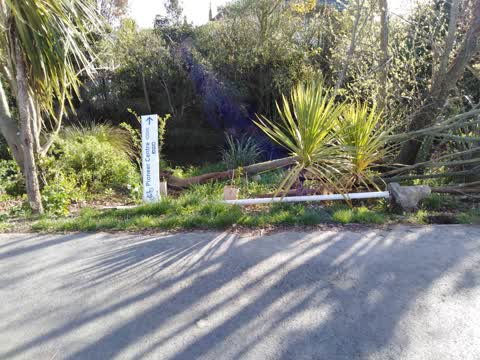 Roading/Streets — a report photo