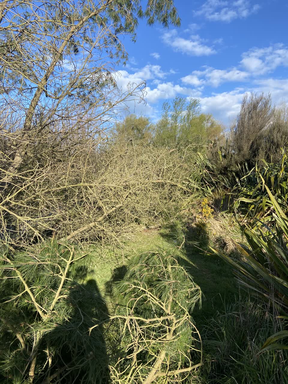 The photograph attached to this parks report