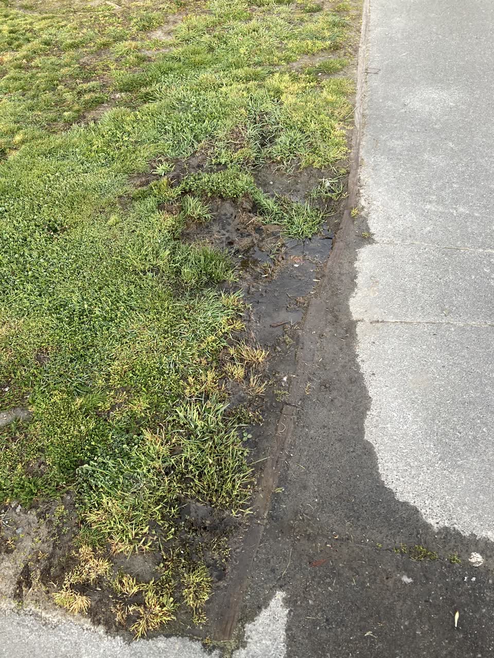 The photograph attached to this water leak report