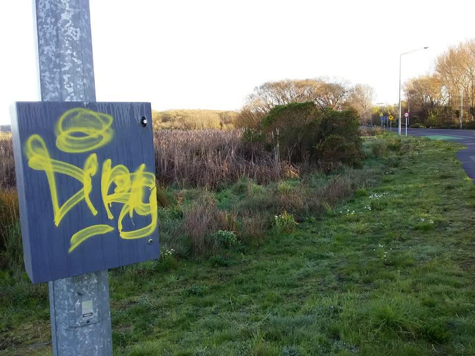 The photograph attached to this graffiti report