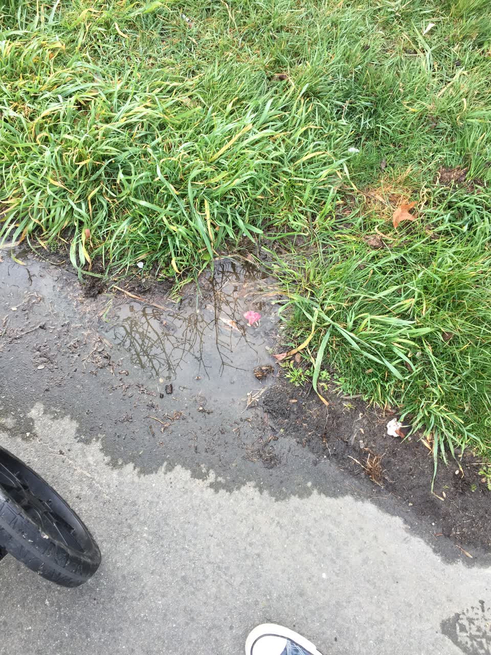 The photograph attached to this water leak report