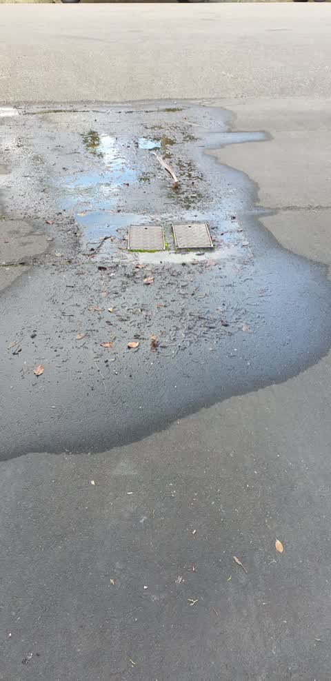 Water Leak, a report photo