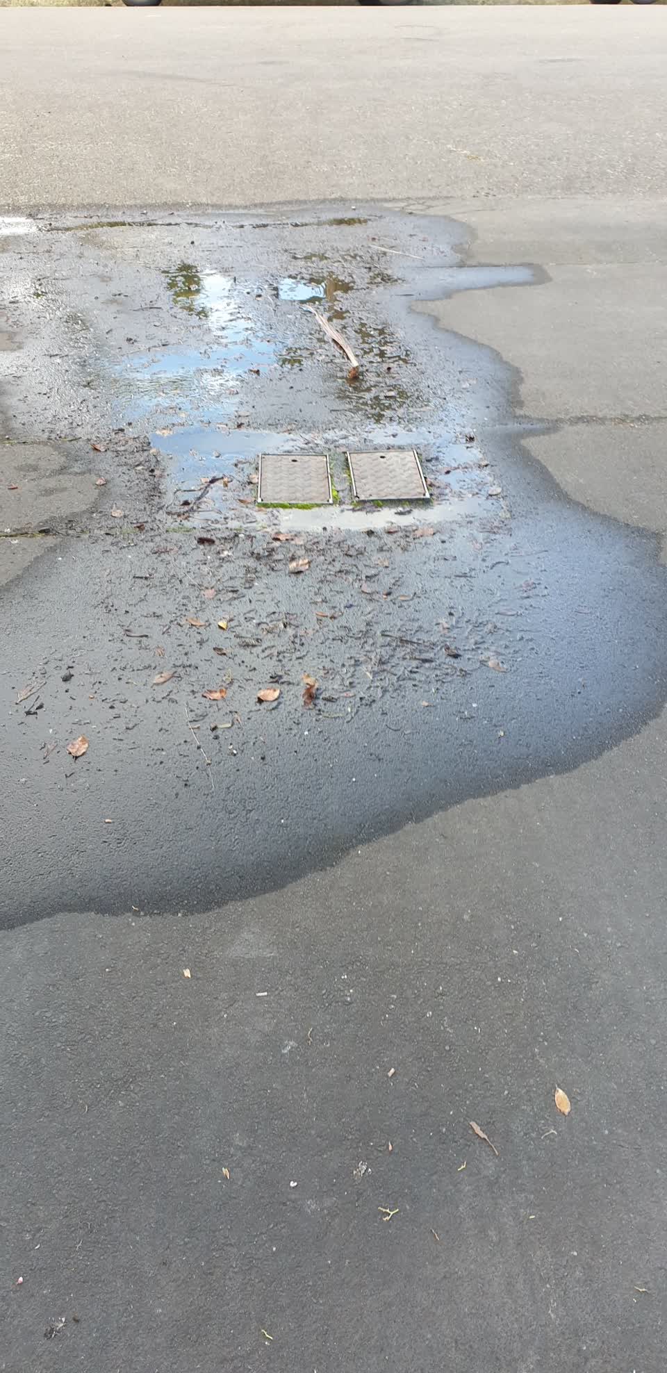 The photograph attached to this water leak report
