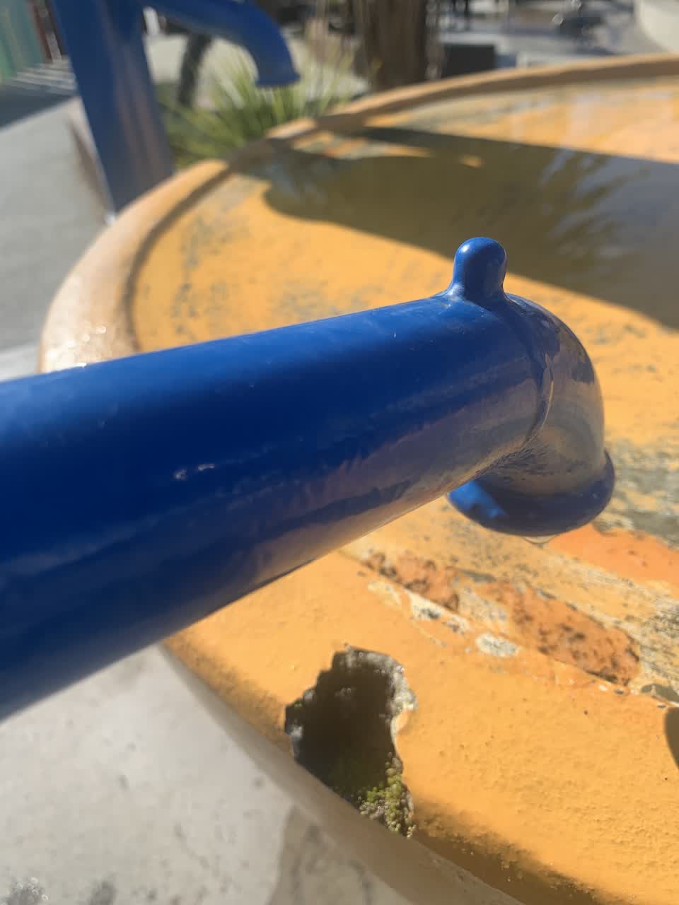 The photograph attached to this parks report