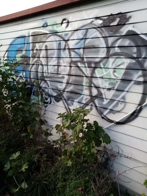 Graffiti, a report photo